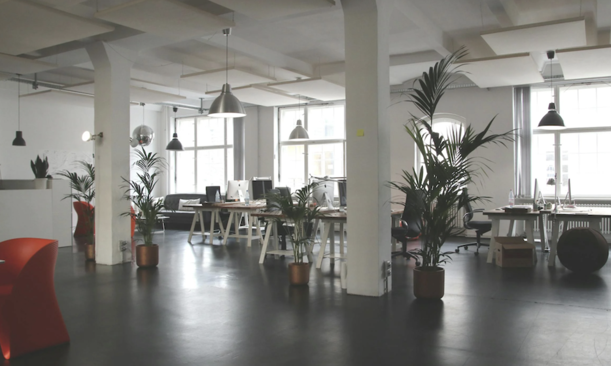 The Best Cleaners